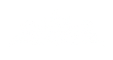 Lotus illustration
